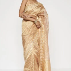 Daivi Benarasi Saree - Gold