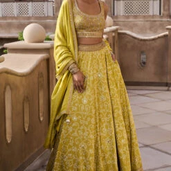 Nartakee Lehenga - Lime