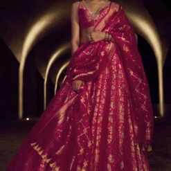 Anugraha Lehenga Set - Hot Pink