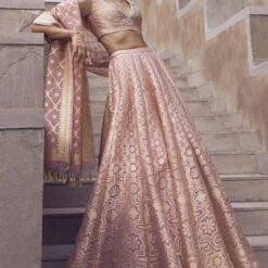 Aniq Lehenga Set - Blush