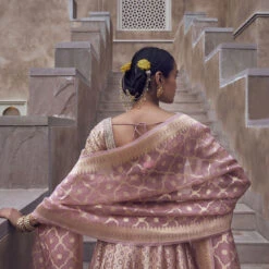 Aniq Lehenga Set - Blush -Abhinaya shop AD F22R14 BLUSH 3