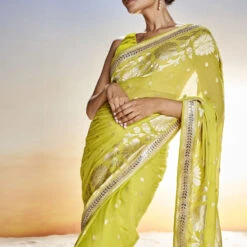 Abhinaya Benarasi Saree - Lime -Abhinaya shop BSR69 Lime 4