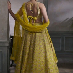 Dharvi Lehenga Set – Lime -Abhinaya shop F21R24LCD Lime 2