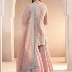 Ashreen Suit Set - Blush -Abhinaya shop F22R154 Blush 3