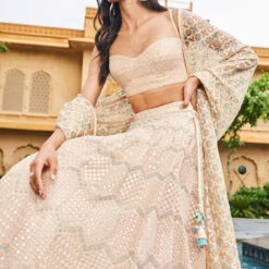 Aadhya Lehenga-Beige 6 Aadhya Lehenga-Beige -Abhinaya shop F22R88 Beige 4