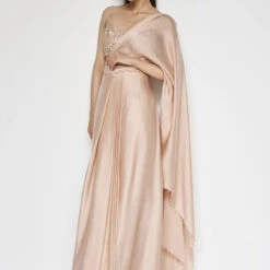 Aveline Saree - Hazelnut -Abhinaya shop F23A375 Hazelnut 3