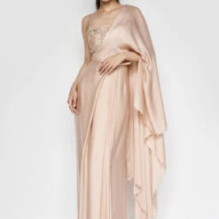 Aveline Saree - Hazelnut -Abhinaya shop F23A375 Hazelnut 5