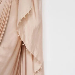 Aveline Saree - Hazelnut -Abhinaya shop F23A375 Hazelnut 8