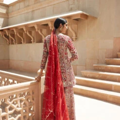 Chand Gharara Set - Red -Abhinaya shop F23R200MTO REDD 5