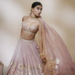 Sitara Lehenga - Blush 8 Sitara Lehenga - Blush -Abhinaya shop F23R439MTO BLSH 3