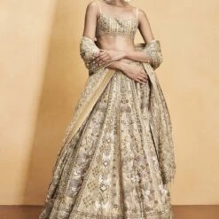 Hymn Of The Forest Lehenga - Gold -Abhinaya shop F23R593MTO Gold 1