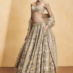 Hymn Of The Forest Lehenga - Gold -Abhinaya shop F23R593MTO Gold 2