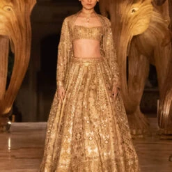 Hymn Of The Forest Lehenga - Gold