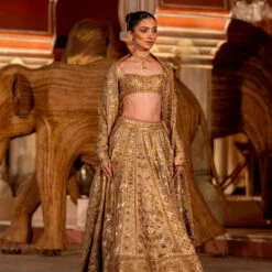 Hymn Of The Forest Lehenga - Gold -Abhinaya shop F23R593MTO R Gold 3