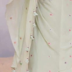 Asterope Saree - Pista -Abhinaya shop S23MA153 Pista 7