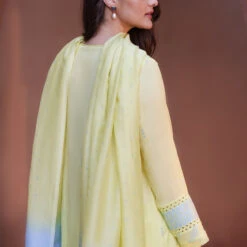 Salmi Suit Set - Lime -Abhinaya shop S23S7 Lime 5