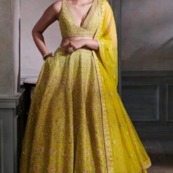 Dharvi Lehenga Set – Lime