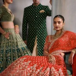 Rooma Lehenga Set – Green -Abhinaya shop ad f21r72lcd green 4