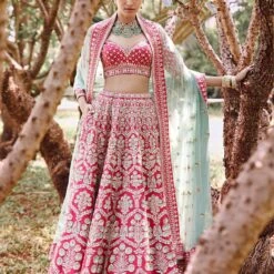 Aabira Lehenga