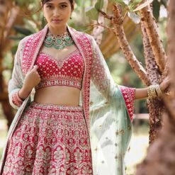 Aabira Lehenga -Abhinaya shop ad fw20ab008lc1d berrysorbet 3