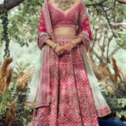 Arnavi Lehenga