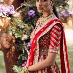 Alipriya Lehenga -Abhinaya shop ad fw20ab014lcdd1 garnet red 3