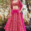 Hanika Lehenga - Pink