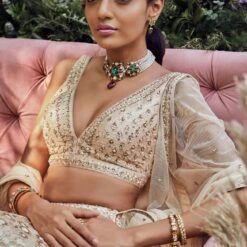 Idaya Lehenga Set-Champagne -Abhinaya shop ad fw20sj007 champagne 3
