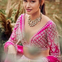 Aantika Lehenga -Abhinaya shop ad fw20sj018lcd fuchsia pink 3