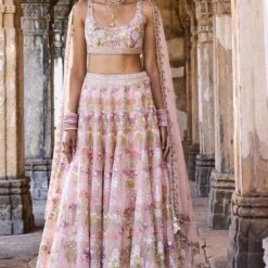 Butterfly Blush Lehenga Set - Blush