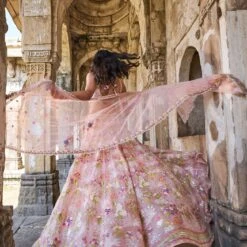 Butterfly Blush Lehenga Set - Blush 7 Butterfly Blush Lehenga Set - Blush -Abhinaya shop ad s22a1a blush 3
