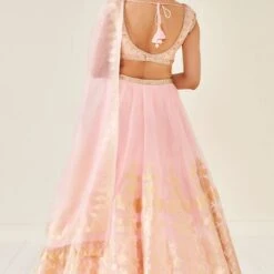 Amari Lehenga Set -Blush -Abhinaya shop ad ss20rr101 blush 3