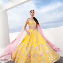 Anatola Lehenga